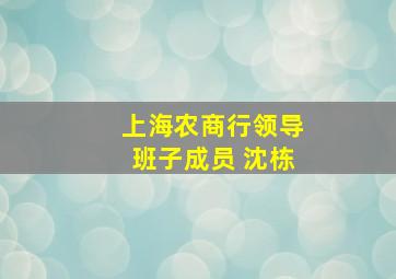 上海农商行领导班子成员 沈栋